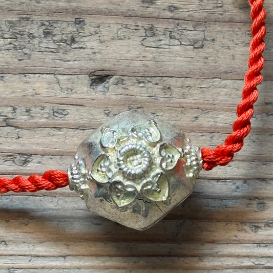 Paya